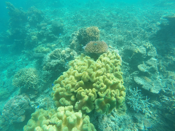 m_GOPR0785.jpg