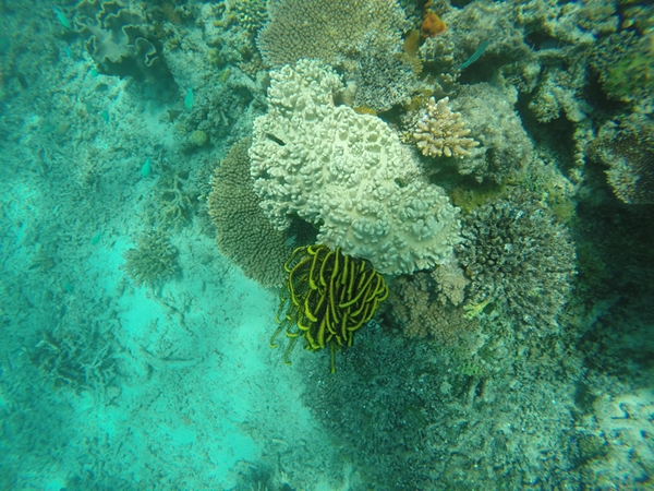 m_GOPR0781.jpg