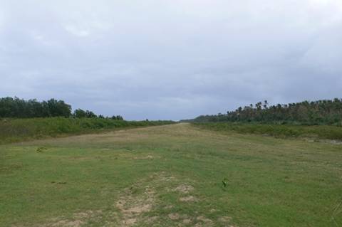 m_P1070442.jpg