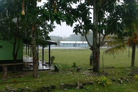 m_P1070674.jpg