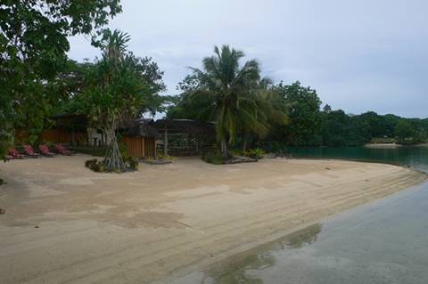 m_P1070761.jpg