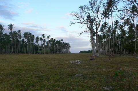 m_P1070856.jpg