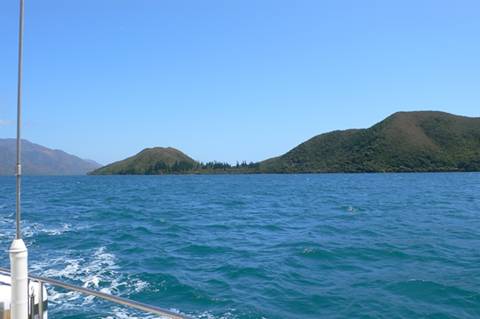m_P1080382.jpg