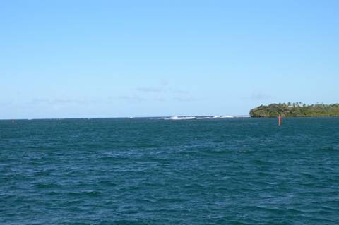 m_P1080407.jpg