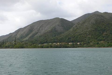 m_P1080415.jpg