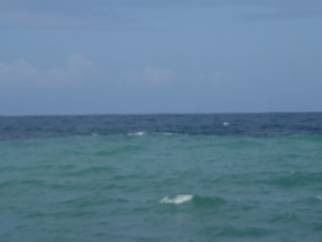 clip_image074