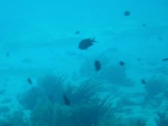 clip_image082