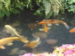 clip_image118