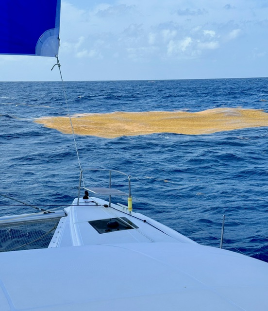 image8.jpeg