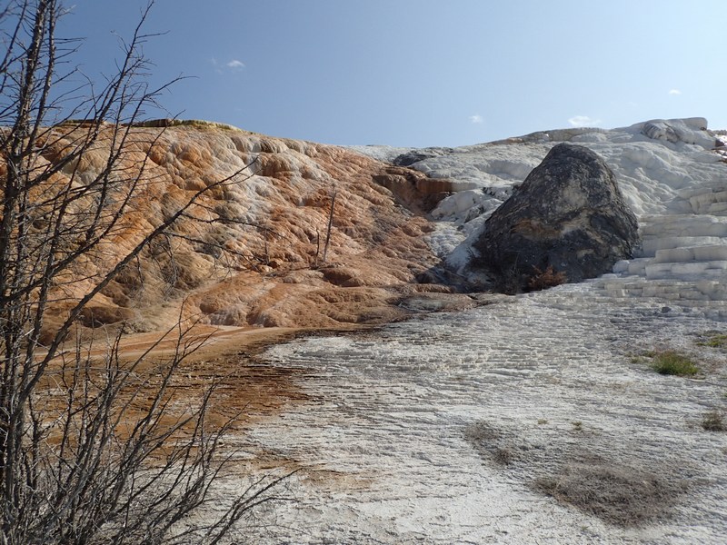 mammoth
