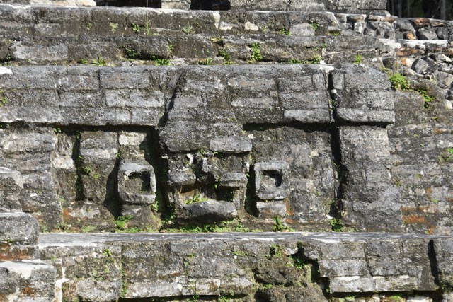 Belize
          Audobon Society