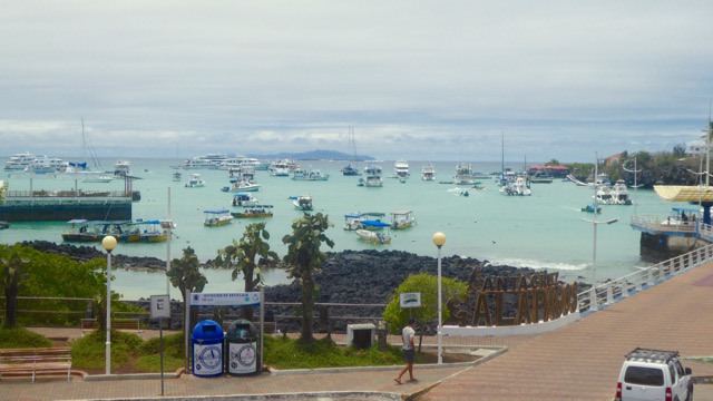 P1050853.jpg