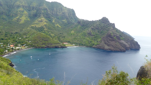 P1060620.jpg