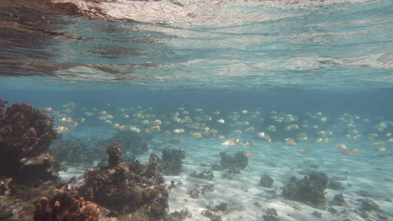 P1130873.jpg