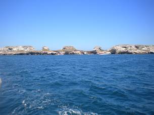 DSCN2232