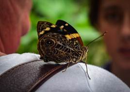 _DSC0012