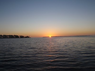 m_PB070005.jpg