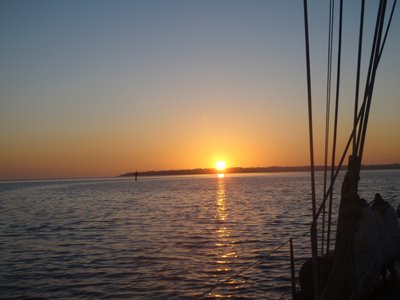 m_PB070008.jpg