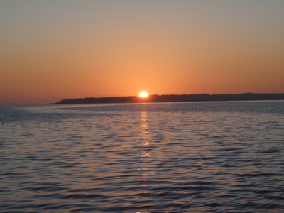 m_PB070006.jpg