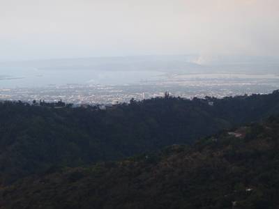 m_P2150067.jpg
