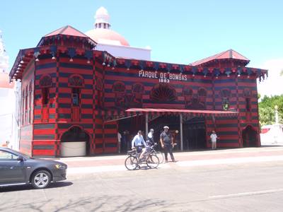 m_P3200179.jpg