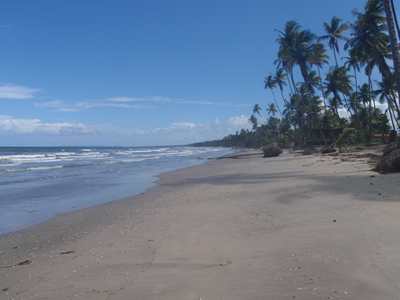 m_P8090119.jpg