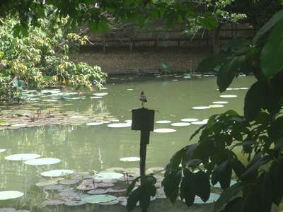m_P9050169.jpg