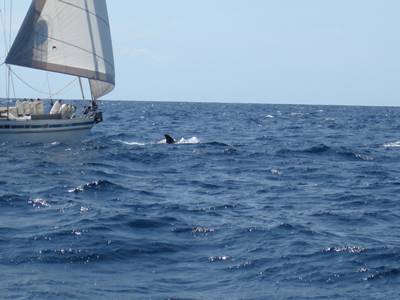 m_IMG_2164.jpg
