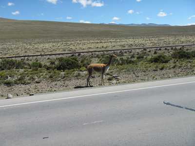 m_IMG_0090.jpg