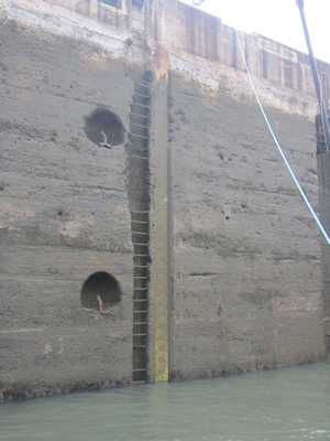 m_IMG_0816.jpg
