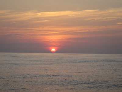 m_IMG_0996.jpg