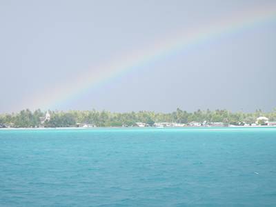 m_IMG_1987.jpg