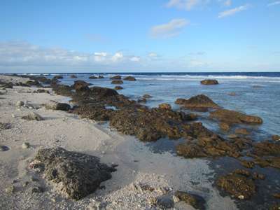 m_IMG_2046.jpg