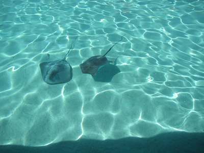 m_IMG_2155.jpg