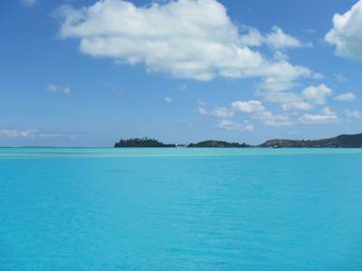 m_IMG_2391.jpg