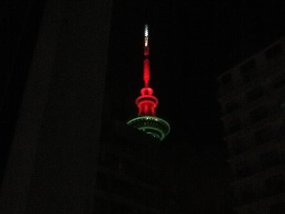 m_NZ 014.jpg