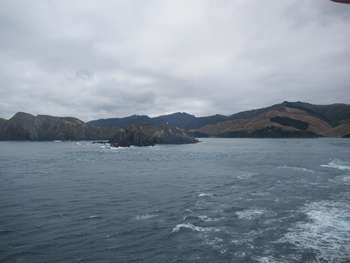 m_IMG_3932.jpg