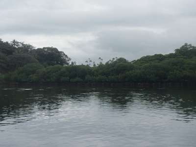 m_IMG_5086.jpg