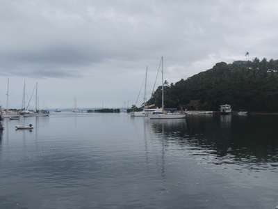 m_IMG_5084.jpg