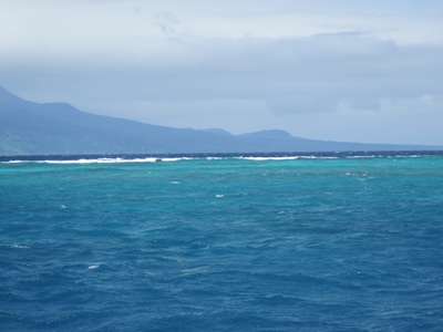 m_IMG_5172.jpg