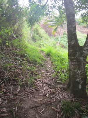 m_IMG_5205.jpg