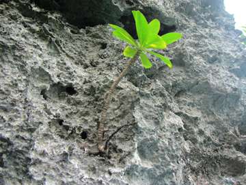 m_IMG_5664.jpg