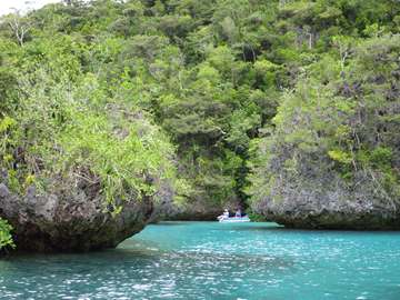 m_IMG_1454.jpg