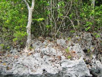 m_IMG_5598.jpg