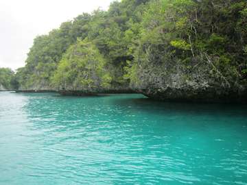 m_IMG_5661.jpg