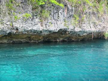 m_IMG_5670.jpg