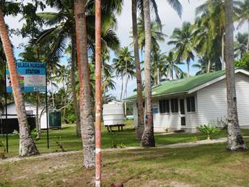 m_IMG_5771.jpg