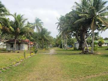 m_IMG_5871.jpg