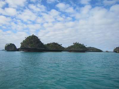 m_IMG_5796.jpg