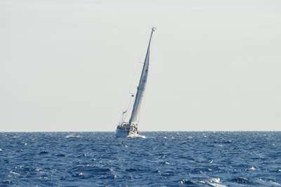 m_DSC_7703.jpg